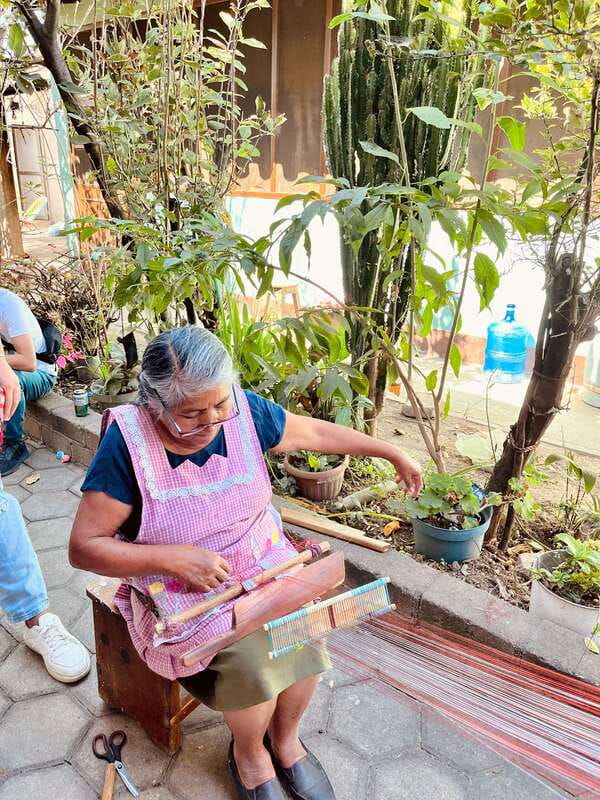 Oaxaca: San Martín Tilcajete, Jalieza & Ocotlán Crafts Route - Price and value: why $46 can work, and when it might not