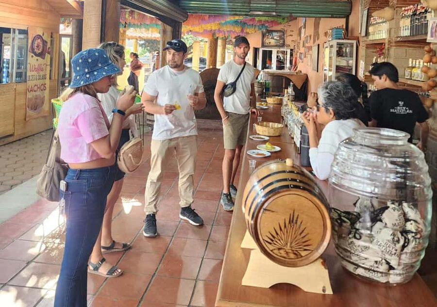 Oaxaca: Tule, Mitla & Hierve el Agua, & Mezcal Tour - Key things that make this tour worth your day