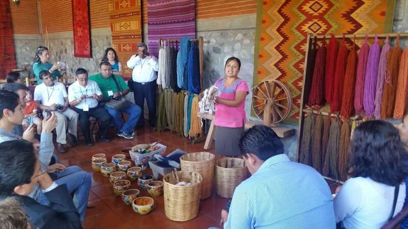 Oaxaca: Tule, Mitla & Hierve el Agua, & Mezcal Tour - Teotitlán del Valle weaving workshop: the natural dye lesson you’ll remember