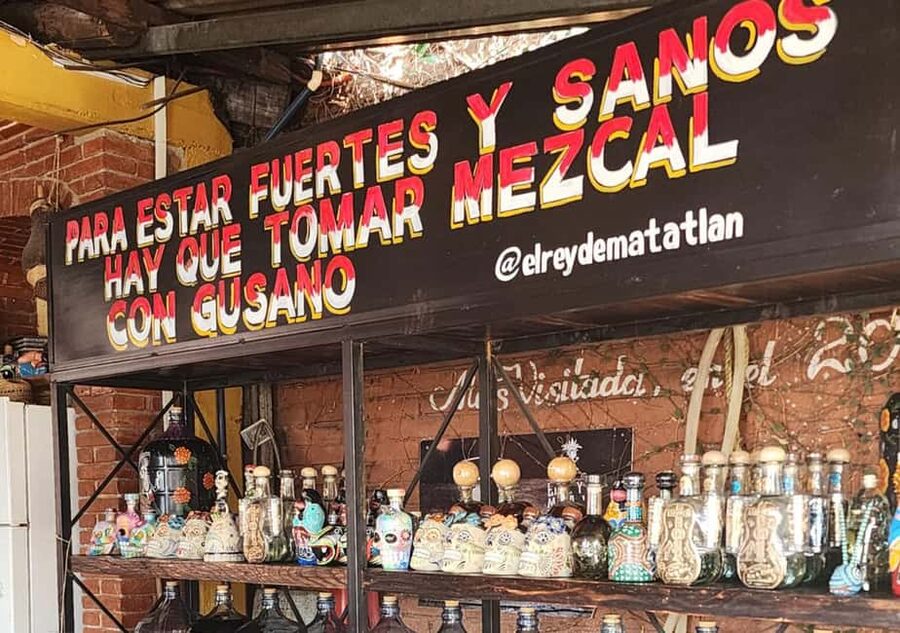 Oaxaca: Tule, Mitla & Hierve el Agua, & Mezcal Tour - Price and value: why $75 can make sense for this many stops