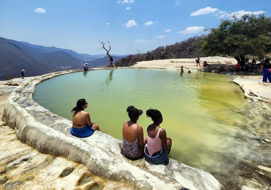Oaxaca: Tule, Mitla & Hierve el Agua, & Mezcal Tour - Tree of Tule: what you’re seeing in 30 minutes, and how to enjoy it