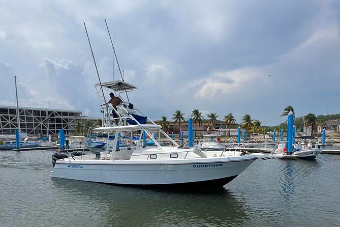 Ocean Eco Adventure with Marine Biologist Guides - Price and Extras: What $83.64 Gets You, and What to Budget On Top