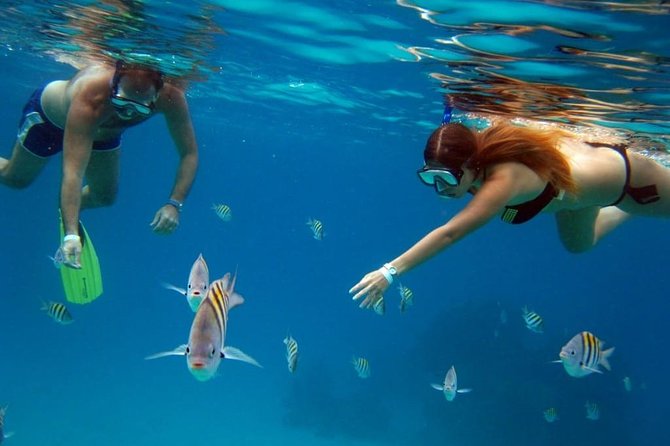 Official Chankanaab Park Day pass and Snorkel with Lunch included - Reef snorkeling with gear and a guide you can ask questions to