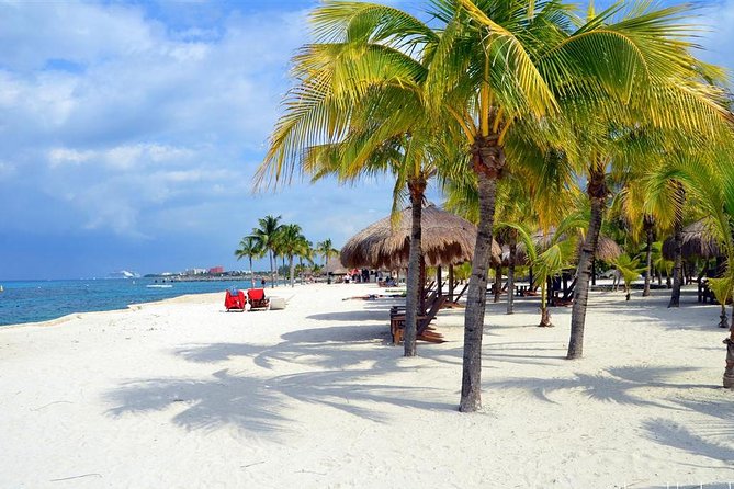 Official Chankanaab Park Day pass and Snorkel with Lunch included - Who this is best for, and who might prefer another plan