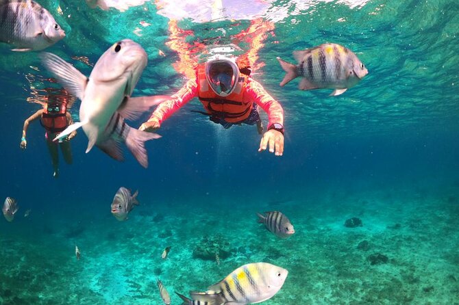 Official Chankanaab Park Day pass and Snorkel with Lunch included - Beach time at Chankanaab, loungers, hammocks, and realistic shoreline expectations