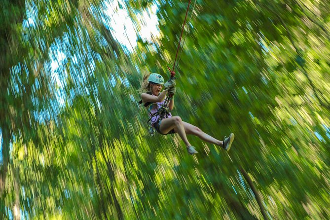 Outdoor Ziplining and UTV Adventure from Los Cabos - Boca de Sierra in one day: zip lines first, UTV after