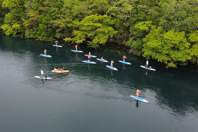 Paddle at Dawn with visit to Cenotes and Islands - Key Highlights You Should Know