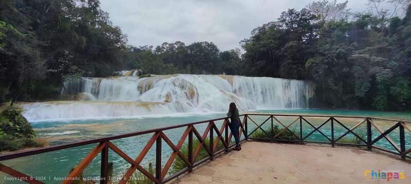 Palenque: Palenque Ruins, Agua Azul Waterfalls and Misol-Ha - Timing Tips: How to Handle Heat, Rain, and Long Walking Hours