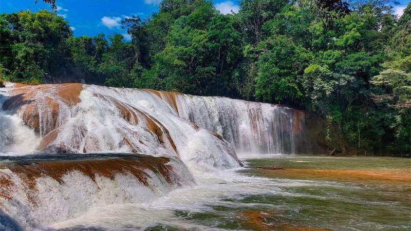 Palenque: Palenque Ruins, Agua Azul Waterfalls and Misol-Ha - Group Size, Spanish Guide, and What the Tour Actually Feels Like