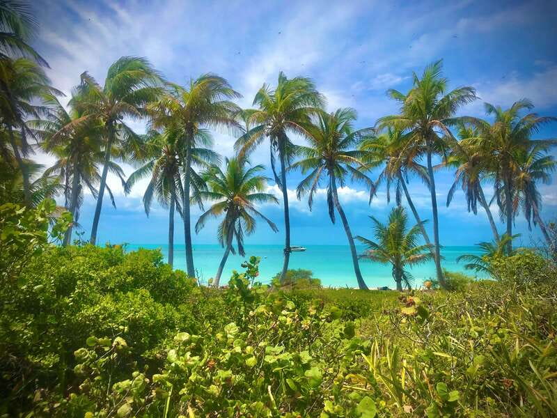 PARADISE ISLAND- ISLA CONTOY AND ISLA MUJERES - Isla Contoy: a nature reserve day with bird life and swim time