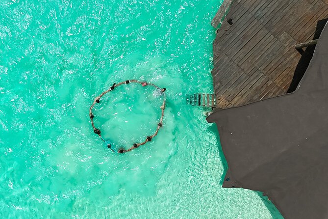 Photography and Filming with drone and camera - The “Professional Eye” Factor: Why Mehran’s Approach Matters