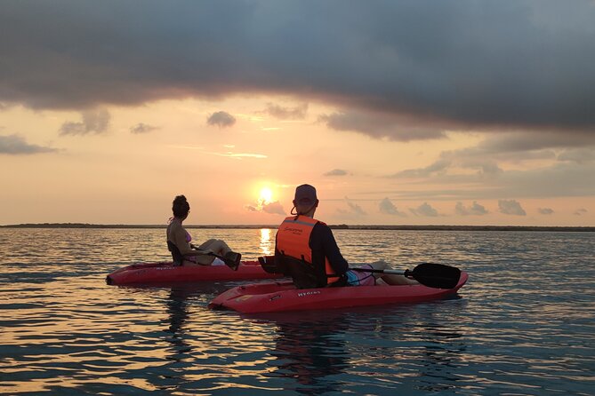Pirate's Channel & 3 Lagoons Kayak or SUP/Paddle Tour +Meditation - Mangrove sanctuary and the bird-listening meditation