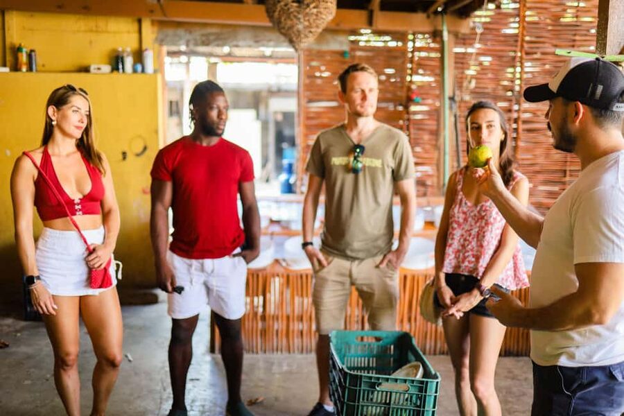 Playa del Carmen: 3-Hour Local Food Walking Tour - Logistics, Pacing, and Who This Tour Fits Best