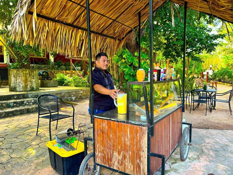 Playa del Carmen: Chichen Itza, Valladolid, Cenote & Buffet - Price and the real budget: what $89 includes, and what you must pay separately