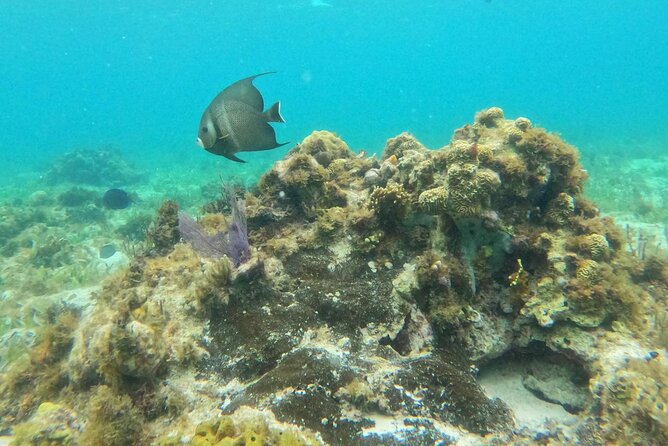 Premium Isla Mujeres Tour by Private Catamaran - Isla Mujeres time: 2 hours to walk, eat, and choose your own pace