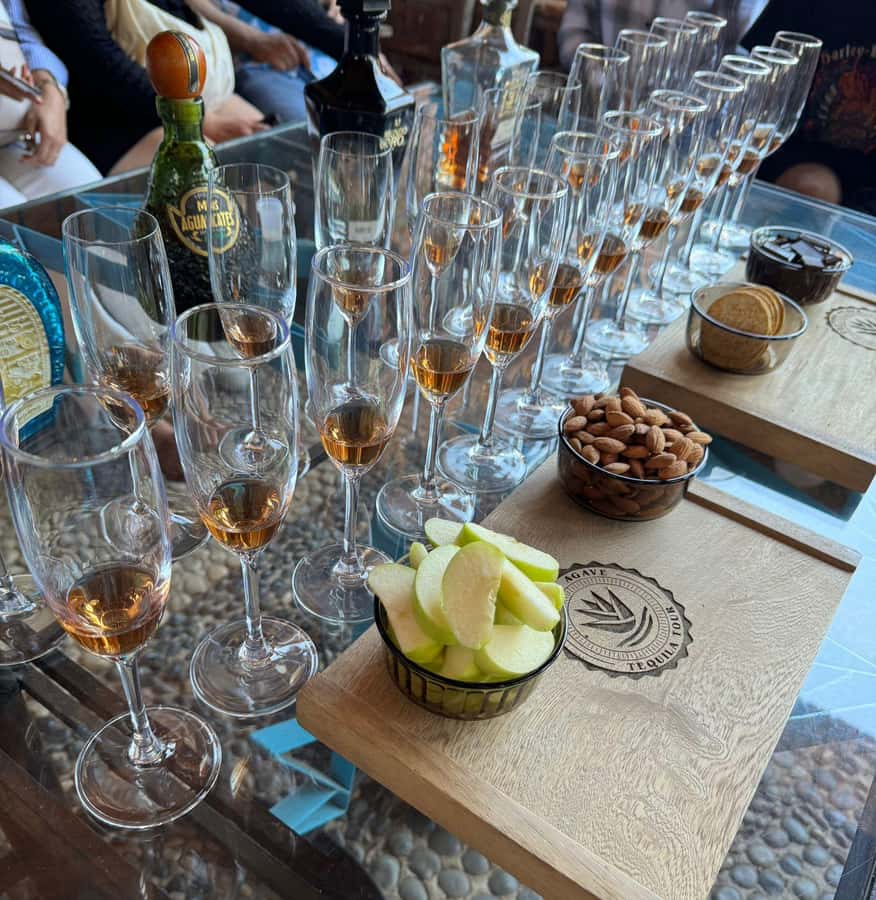Premium Tequila Route with professional tasting - Amatitán viewpoint and giant swings: second tasting with open bar