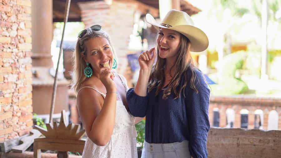 Premium Tequila Route with professional tasting - Pueblo Mágico of Tequila: free time for haciendas, murals, and shopping