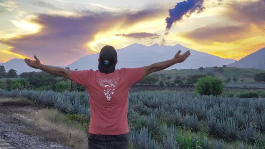 Premium Tequila Tour with a professional tasting - Price and value: what $64 buys you in the real world