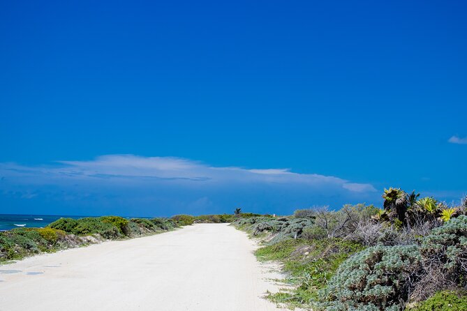 Private Buggy Tour and Punta Sur Park: All-Inclusive - Punta Sur by Buggy: Why This Route Works So Well
