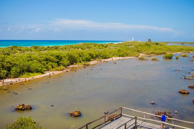 Private Buggy Tour and Punta Sur Park: All-Inclusive - Sabores Cozumel Tequila and Chocolate Tasting: Sipping With a Lesson