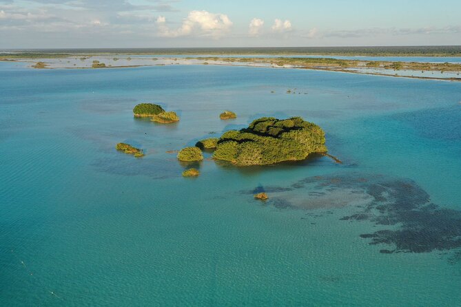 Private Catamaran Tour - Stromatolites: ancient life in a place you can actually look at