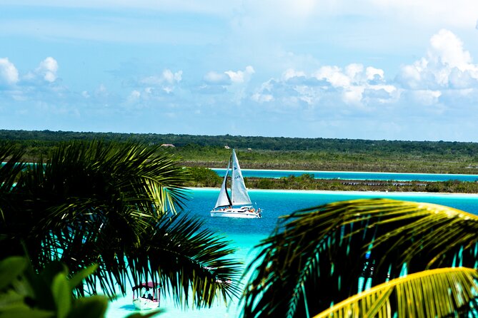 Private Catamaran Tour - Isla de los Pájaros: a calm finish with birds, not crowds