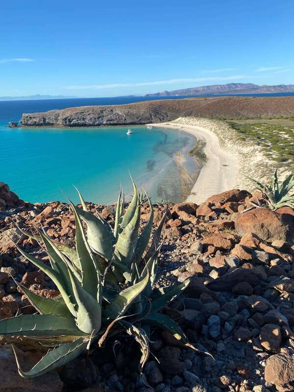 Private experience from Cabo San Lucas to La Paz: (Balandra beach) - Key highlights I’d center in your planning
