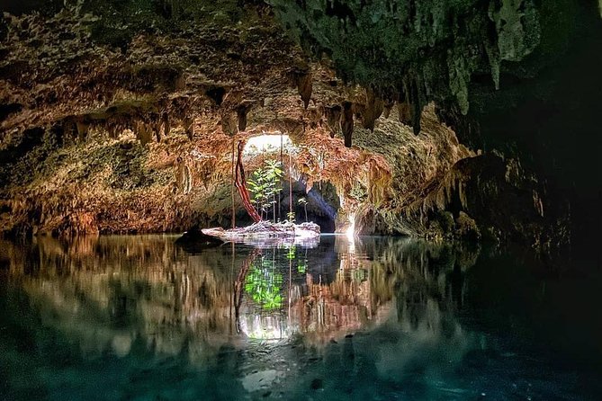 Private Guided Cenotes and Underground River Exploration - Sac Actun: Sacred Tree, Stalactites, and an Underground River You Can Swim