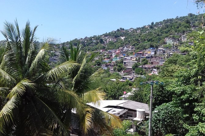 Private Ixtapa and Zihuatanejo City Tour - Market Time in Real Life: Farmers Market Products and What Goes Into Local Cooking