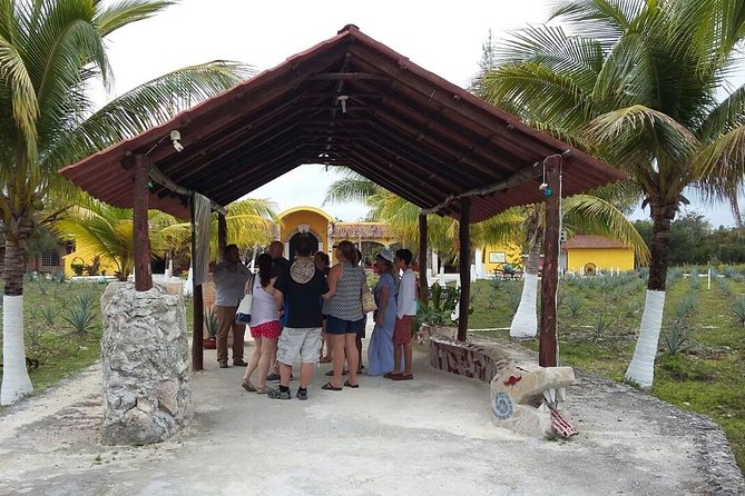 Private Jeep Excursion in Cozumel with Lunch and Snorkeling - Value check: Is $74 a good deal for this private day?