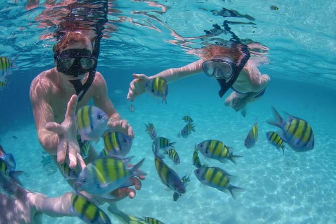 Private Luxury Sailing Cruise in Los Cabos with Lunch and Open Bar - The Sea of Cortez swim bay: snorkeling gear, paddleboards, and real water time
