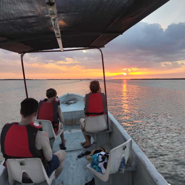 Private Ría Lagartos Boat Tour: Flamingos & Crocodiles - Key things that make this tour worth your time