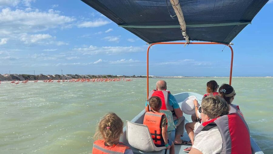 Private Ría Lagartos Boat Tour: Flamingos & Crocodiles - Photo stops and timing: why your guide’s pacing matters