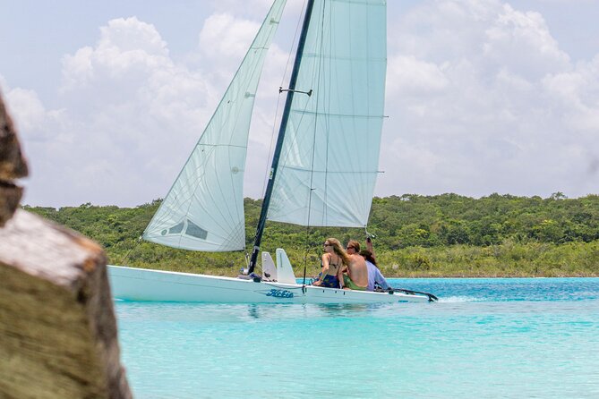Private Sailing between Mangroves - Island of birds: warm-water swim and sunset timing