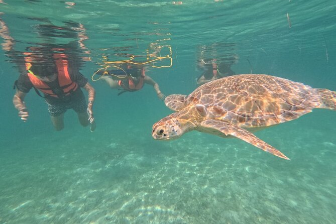 Private Snorkeling with Sea Turtles in Akumal Beach - When conditions are rough: wind, silt, and strong currents
