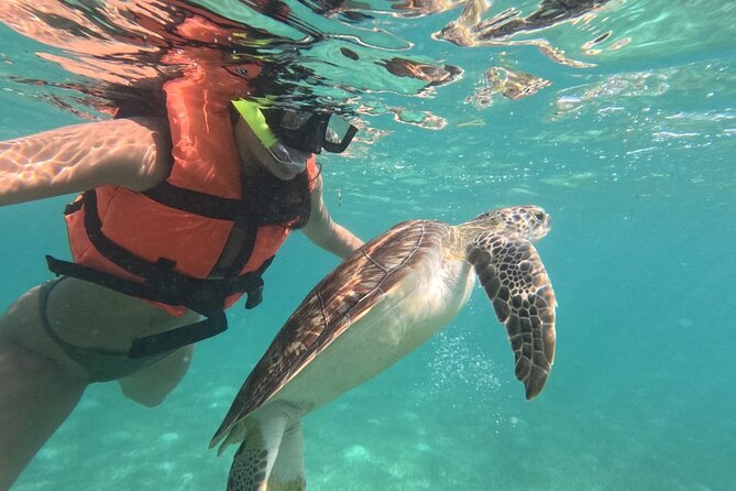 Private Snorkeling with Sea Turtles in Akumal Beach - The first stop at Marine Life Akumal MX: gear up, then head out early