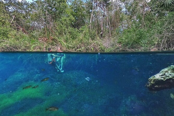 Private Tour The Best Cenotes in Tulum Riviera Maya - Gran Cenote Snorkeling: Semi-Underground Magic, Built for Photos