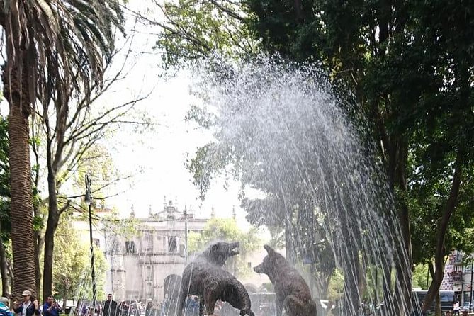 Private Tour: Xochimilco, Coyoacan and Frida Kahlo Museum - How the 6 Hours Usually Feels: Smart but Packed