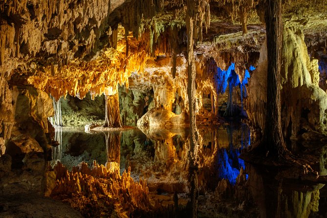 Private Turtles & Cenotes Adventure - Who This Tour Suits Best (And Who Might Pause)
