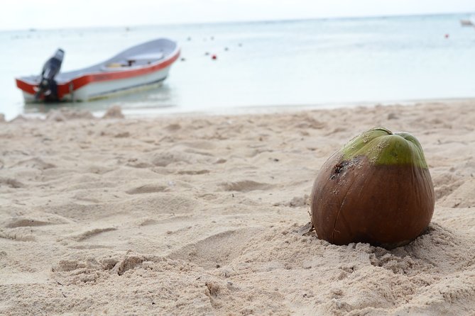Private Turtles & Cenotes Adventure - Turtle Bay in Puerto Aventuras: Guaranteed Turtle Snorkel Time
