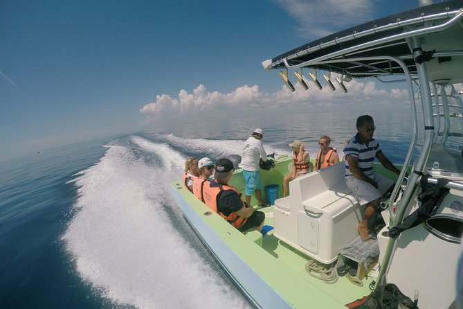 Private Whale Shark All Inclusive Experience - Price and Logistics: Is This Private Tour a Smart Value?