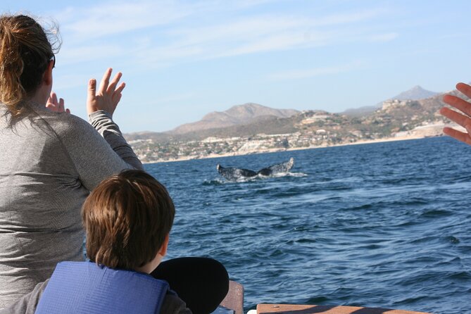 Private Whale Watching in San José del Cabo - Wildlife You Can Expect to Look For