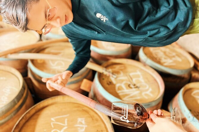 Private Wine Tour at Valle de Guadalupe (A wine tasting included). - Key Things I’d Book This for
