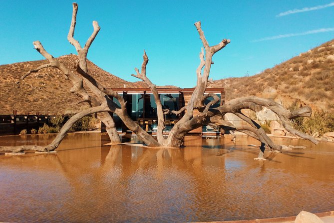 Private Wine Tour at Valle de Guadalupe (A wine tasting included). - Your 7-Hour Plan, and How You Keep Control