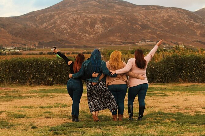 Private Wine Tour at Valle de Guadalupe (A wine tasting included). - Rain, Timing, and Why Flexibility Is the Real Feature