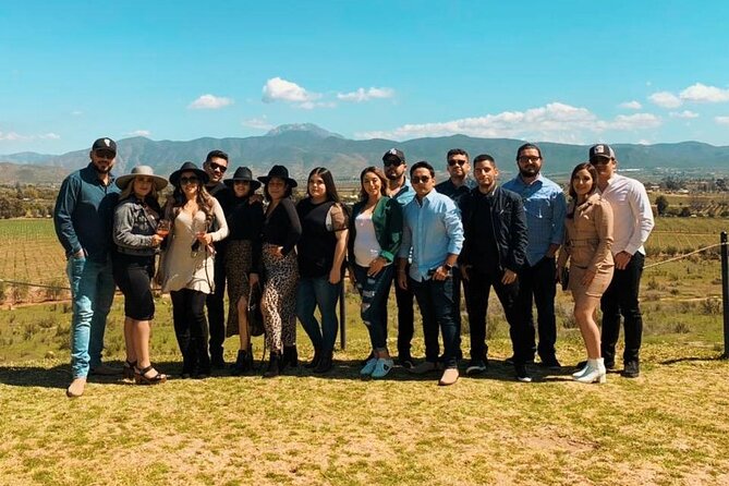 Private Wine Tour at Valle de Guadalupe (A wine tasting included). - Lunch in the Valley: What You Should Expect and How to Decide