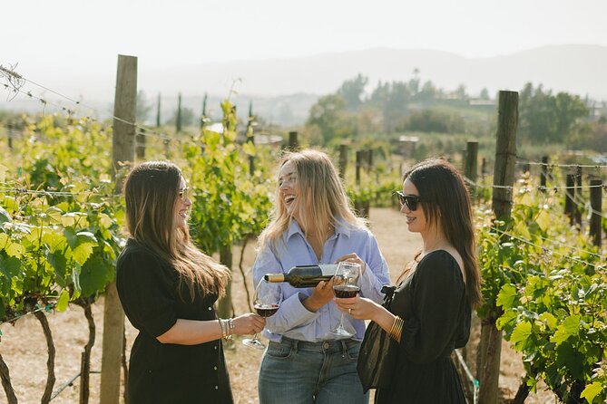 Private Wine Tour by Ansell Tours - Valle de Guadalupe by private car, the way it should feel