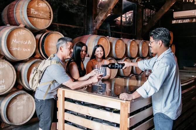 Private Wine Tour by Ansell Tours - Wine tastings and budget reality, no surprises