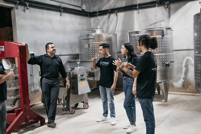 Private Wine Tour by Ansell Tours - Things to watch for: vehicles, crowds, and accessibility needs