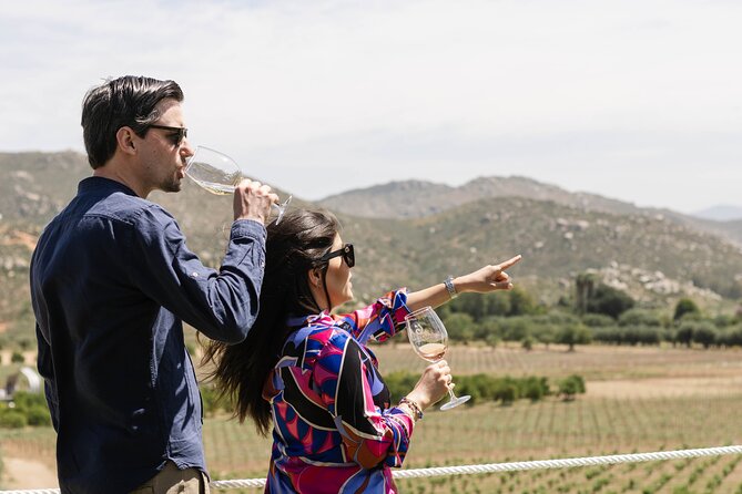 Private Wine Tour by Ansell Tours - Pickup and communication: what makes the day run smoothly